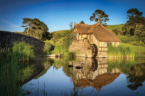Rotorua to Auckland Private Tour via Hobbiton & Waitomo