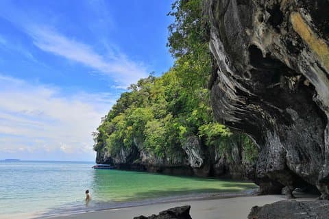 Excursion d'une demi-journée dans la mangrove à Langkawi - base commune