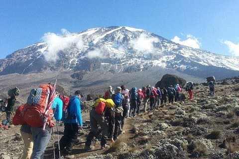 7 jours d'ascension du mont Kilimandjaro sur la route Lemosho