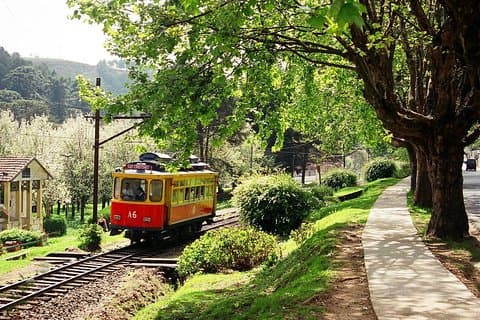 Campos do Jordão - A Suíça Brasileira - Tour partindo de São Paulo
