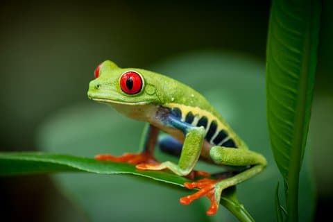 Adgang til Natura Eco Park