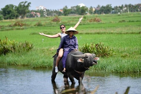 Buffalo Riding, Basket Boat Tour et cours de cuisine