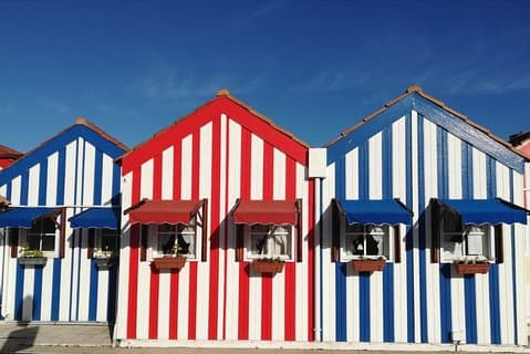 Aveiro and Coimbra Small Group Tour with Moliceiro Boat Cruise