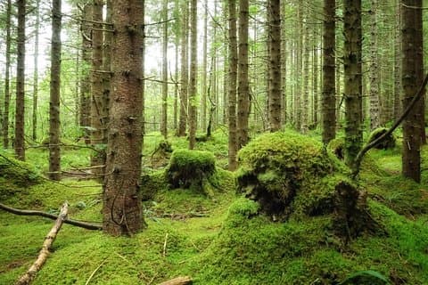 Hike to the Troll Church caves
