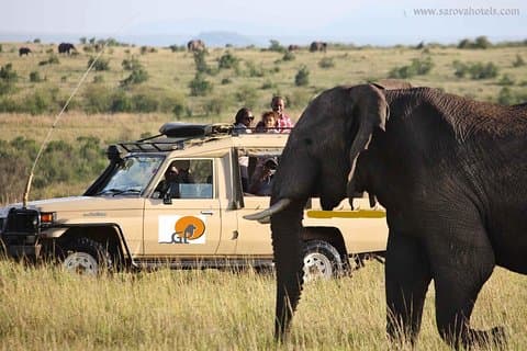 9-dagars bästa av Kenya och Tanzania Safari på 4x4 Land Cruiser Jeep