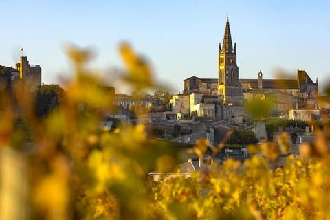 Saint Emilion Halvdagstur med vinsmagning og besøg i vingården fra Bordeaux