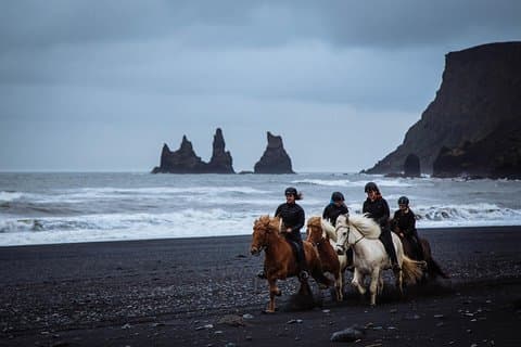 Black Sand Beach Reittour von Vik
