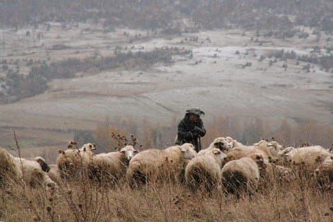 Tour privato a Kazbegi da Tbilisi