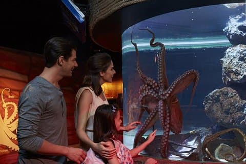 Sea Life Ocean World Bangkok Biglietti d'ingresso