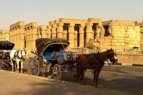 Aswan City Tour med hästkapplöpning