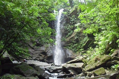 Hidden Gem: Avocat Waterfall Hike og strand stopp i Trinidad