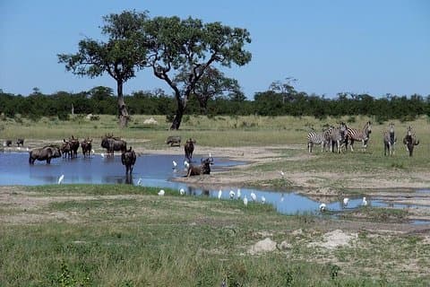 3-daagse Chobe National Park kampeerrondleiding