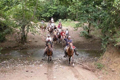 Bayahíbe Horseback Riding & River swimmig