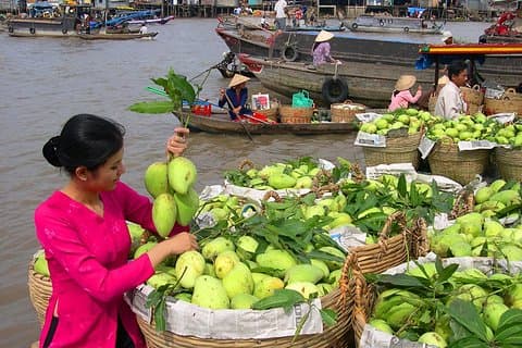 Cai Rang Floating Market & Mekong Delta Private 1-Day Tour