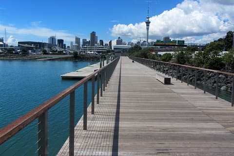 Tour de medio día por Auckland