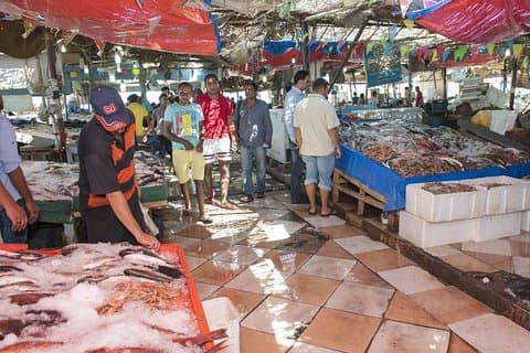 Hurghada bytur, Det er mere end hoteller og strand, Tilmeld dig for at kende det mere