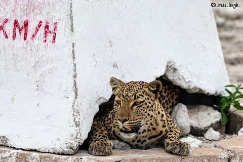 4-dagars Etosha och Swakopmund Upptagen Eventyr från Windhoek