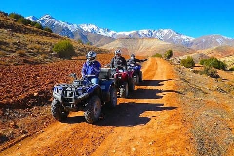 Marrakech Quad & Camel Ride and Traditional Spa
