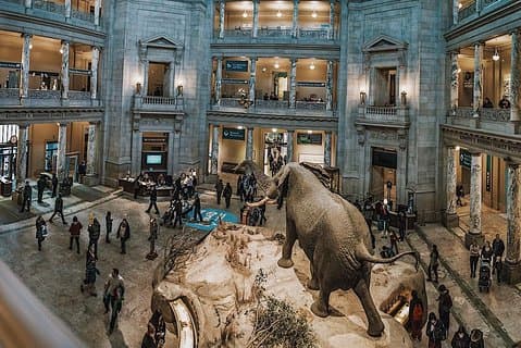 Smithsonian Natural History + Museum of American History 8ppl Max