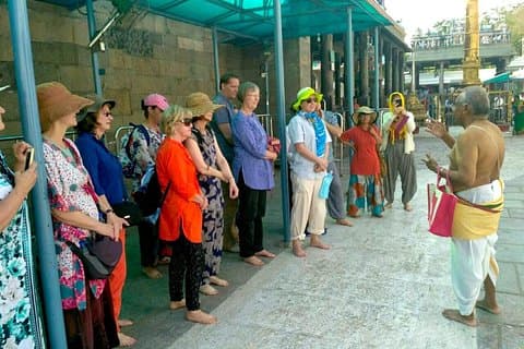 Tour a pie Dioses de Mylapore : Viaje por las tradiciones vivas