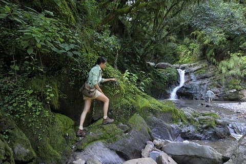 Excursión de medio día a Yungas desde Tucumán