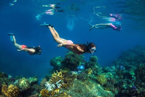 Captain Cook Cruises Fiji - Island and Reef Day Cruise