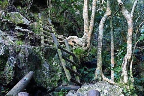 Caminata al desfiladero por la mañana