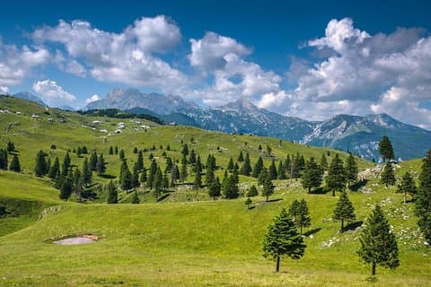 Private Kamnik & Velika Planina Tour von Ljubljana aus