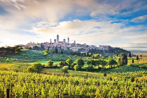 Florence: Siena, San Gimignano Wine Tasting & Lunch Private Tour