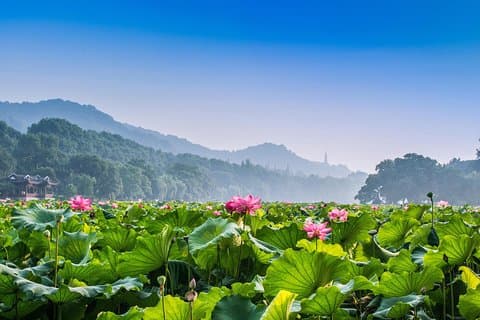 Hangzhou privat anpassad dagstur från Shanghai av Bullet Train