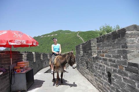 Excursión privada de un día a la Gran Muralla de Mutianyu y el Palacio de Verano con almuerzo