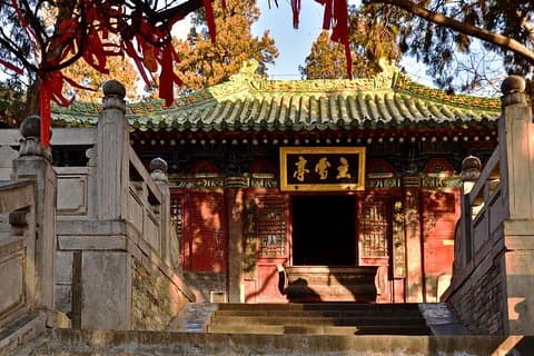 Private Day Tour naar de Shaolin-tempel en Longmen-grotten vanuit Zhengzhou