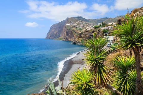 Camara de Lobos and Funchal Hop-On Hop-Off Bus Tour