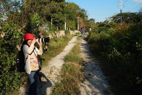 Birdwatching Yucatan 3 days trip focus on endemic birds