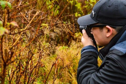 Photography, Hiking & Ferry to Bowen Island