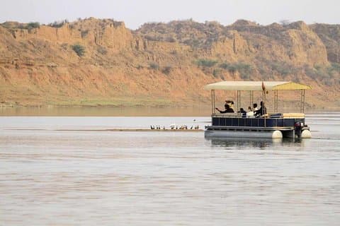 Safari Ranthambore de 2 jours à partir de Jaipur avec Delhi / Agra / Jaipur drop
