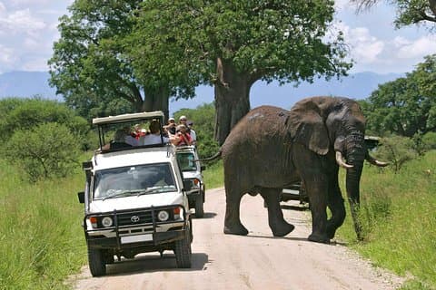 9-Days Best of Kenya Wildlife Private 4X4 Jeep Safari