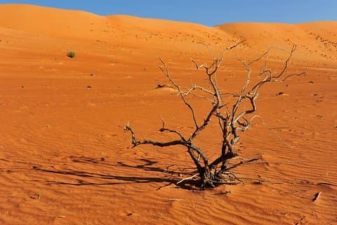 Pacote de 7 dias para acampamento
