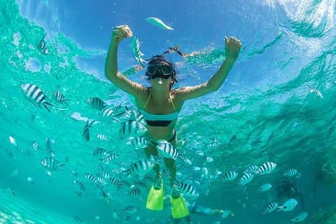 Esplora Coral & Raya Islands – Gita di un giorno in motoscafo da Phuket