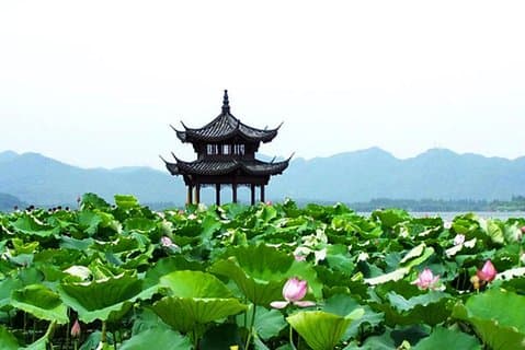 Hangzhou : Excursion d'une journée au ciel sur Terre au départ de Shanghai avec croisière sur le lac West