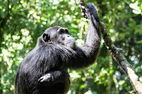 Small group Adventure Holiday- 7 Days