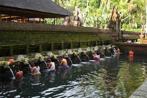 Half Day Ubud Tour - Private Guided Tour