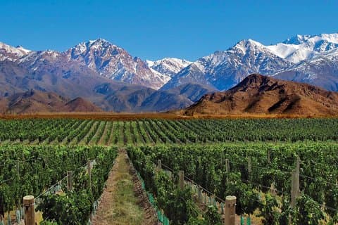 4 - Dagstur til Mendoza og Andesbjergene