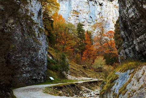CURMATURA CHALET och CANYON eBike tour (BRASOV)