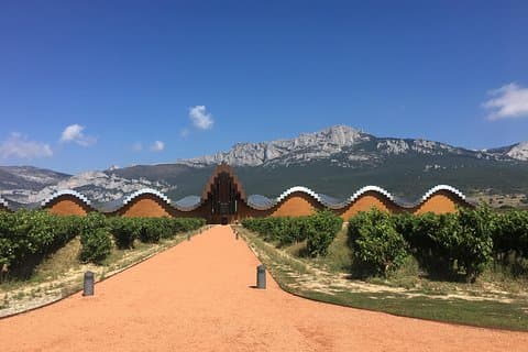 Semi-Private Rioja Tour of 3 Premium Wineries from Bilbao