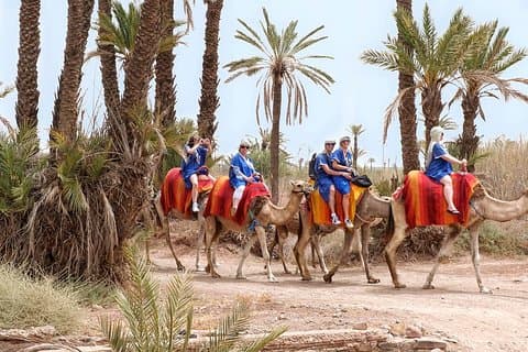 Safari en camello de medio día en Marrakech