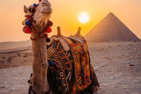 Ganztägige Tour zu Gizeh Pyramiden, Grand Egyptian Museum & Slamic