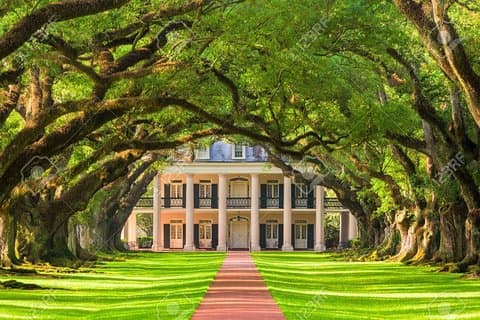 Oak Alley Private Tours