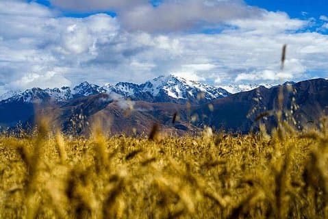 02 Day: Exploring Sacred Valley and Machu Picchu Private Service
