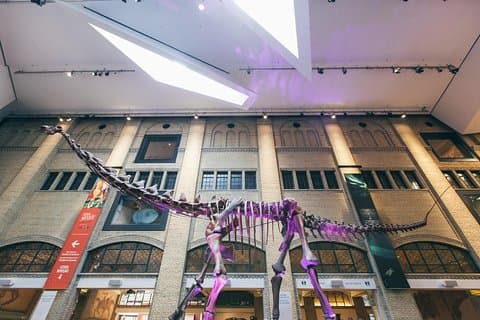 Adgang til Royal Ontario Museum